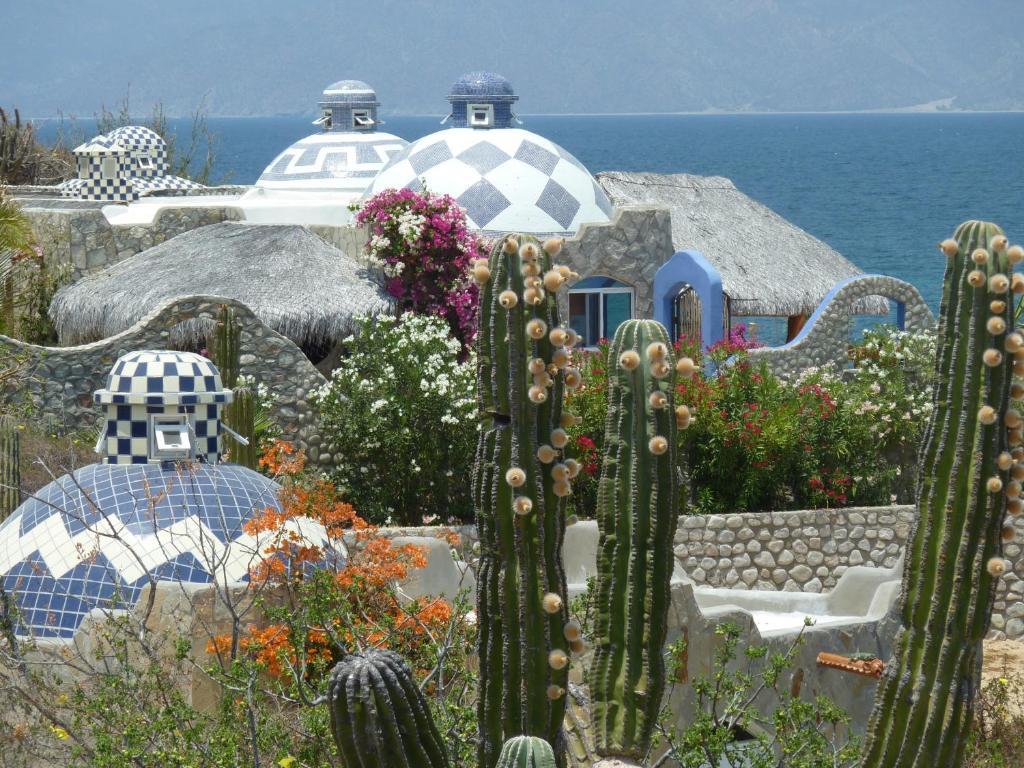 Ocean View Bungalow